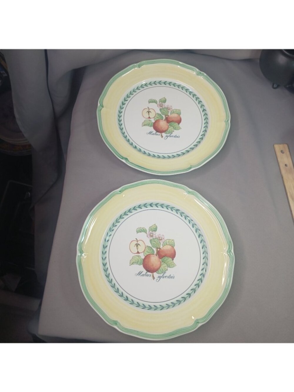 Villeroy & Boch French Garden Valence 2 Dinner Plates Vitro Porcelain - Picture 5 of 16
